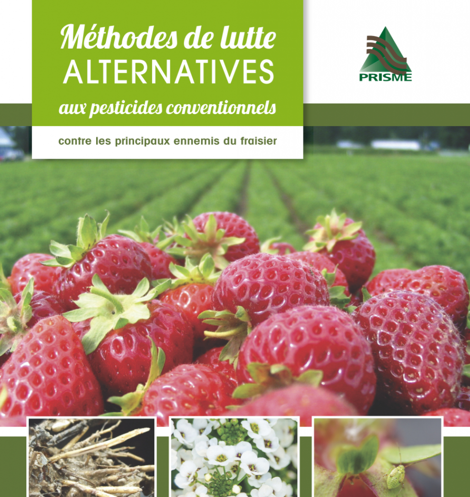 Brochure sur les méthodes alternatives aux pesticides dans le fraisier